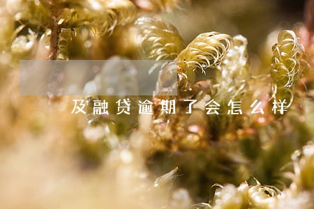 及融贷逾期了会怎么样 及融贷逾期了会怎么样
