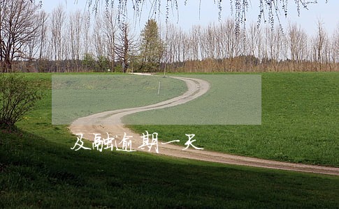 及融逾期一天 及融逾期一天