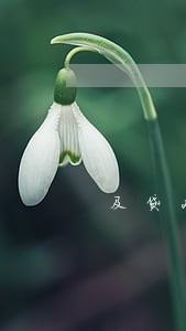 及贷28500逾期怎么办