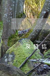 及贷信用卡贷逾期 及贷信用卡贷逾期