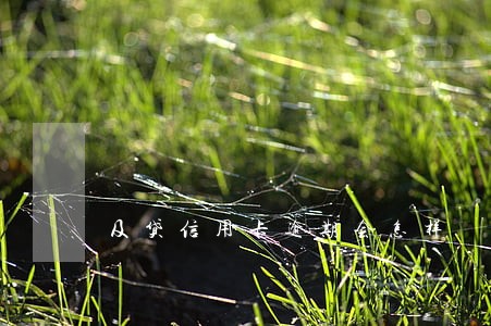 及贷信用卡逾期会怎样 及贷信用卡逾期会怎样