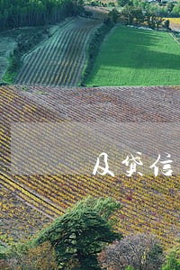 及贷信用卡逾期怎么办
