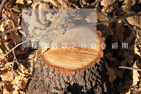 及贷借款2000逾期一年 及贷借款2000逾期一年