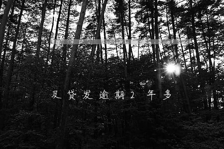 及贷发逾期2年多 及贷发逾期2年多