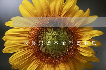 及贷只还本金不还利息 及贷只还本金不还利息