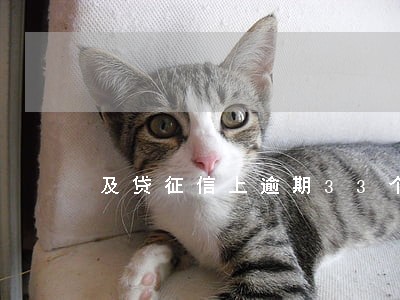 及贷征信上逾期33个月 及贷征信上逾期33个月