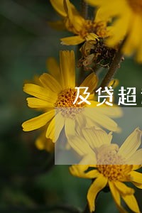 及贷超过24逾期怎么办 及贷超过24逾期怎么办