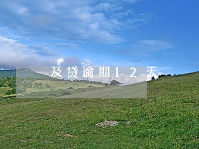 及贷逾期12天 及贷逾期12天