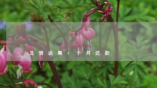 及贷逾期1个月还款 及贷逾期1个月还款
