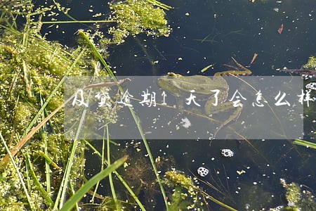 及贷逾期1天了会怎么样 及贷逾期1天了会怎么样