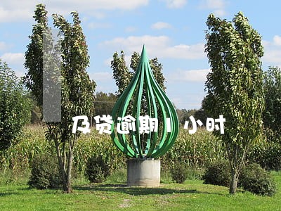 及贷逾期1小时 及贷逾期1小时