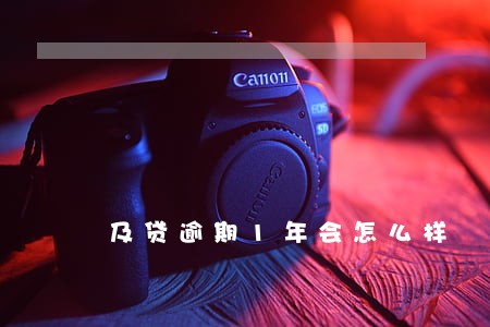 及贷逾期1年会怎么样 及贷逾期1年会怎么样
