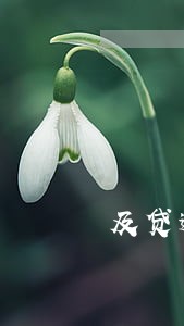 及贷逾期1年多了 及贷逾期1年多了