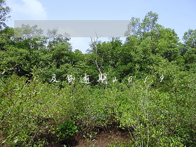 及贷逾期2019 及贷逾期2019