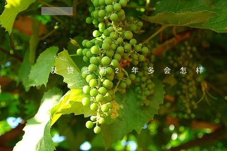 及贷逾期2年多会怎样 及贷逾期2年多会怎样