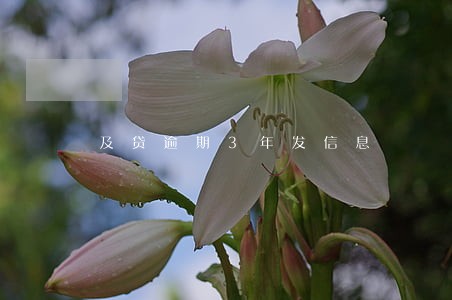 及贷逾期3年发信息 及贷逾期3年发信息