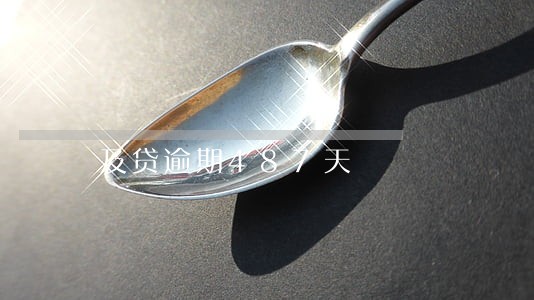 及贷逾期487天 及贷逾期487天