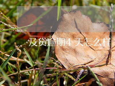 及贷逾期4天怎么样 及贷逾期4天怎么样