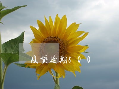 及贷逾期500