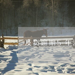 及贷逾期5年没还了 及贷逾期5年没还了
