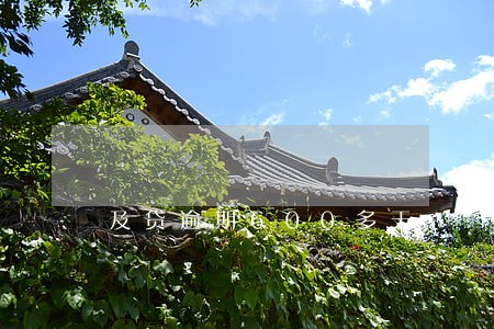 及贷逾期600多天 及贷逾期600多天