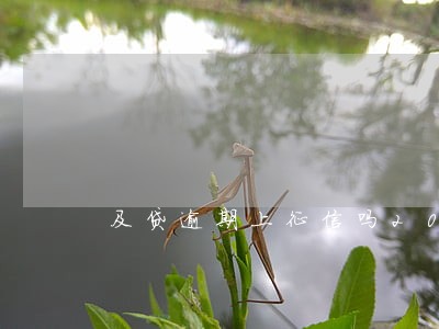 及贷逾期上征信吗2018 及贷逾期上征信吗2018