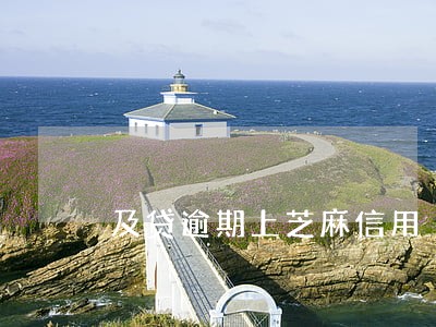 及贷逾期上芝麻信用 及贷逾期上芝麻信用