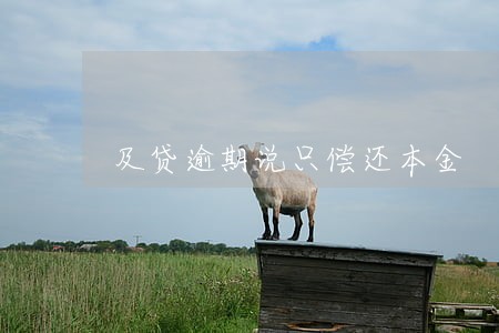 及贷逾期说只偿还本金 及贷逾期说只偿还本金