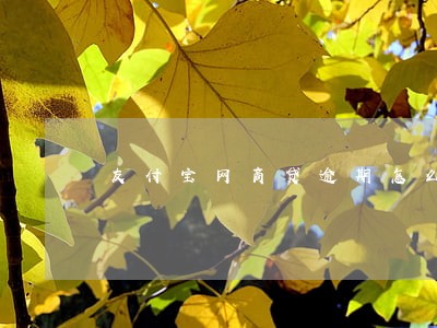 友付宝网商贷逾期怎么贷不了 友付宝网商贷逾期怎么贷不了