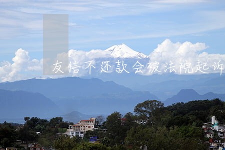 友信不还款会被法院起诉吗 友信不还款会被法院起诉吗