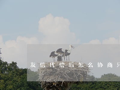 友信代偿后怎么协商只还本金