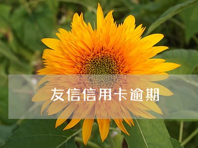 友信信用卡逾期 友信信用卡逾期