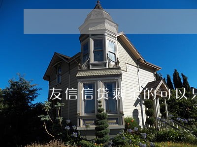 友信信贷剩余的可以只还本金吗 友信信贷剩余的可以只还本金吗