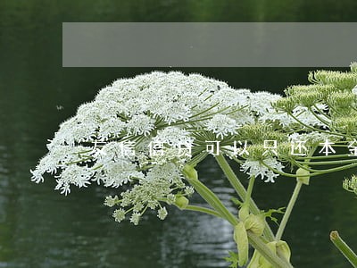 友信信贷可以只还本金吗