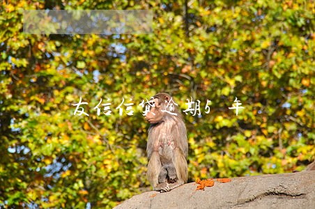 友信信贷逾期5年 友信信贷逾期5年
