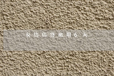 友信信贷逾期6天 友信信贷逾期6天