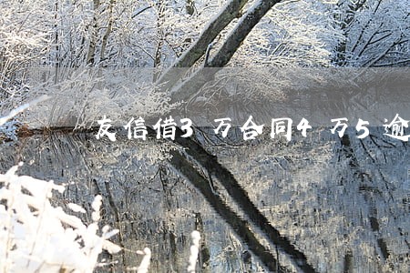 友信借3万合同4万5逾期半年 友信借3万合同4万5逾期半年