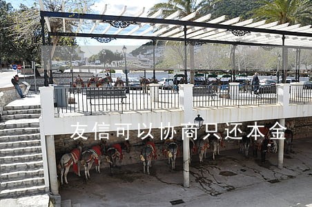 友信可以协商只还本金 友信可以协商只还本金