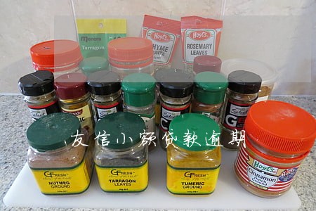 友信小额贷款逾期 友信小额贷款逾期