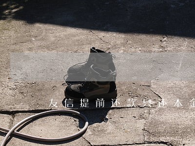 友信提前还款只还本金还不起 友信提前还款只还本金还不起