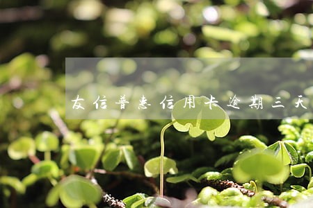 友信普惠信用卡逾期三天