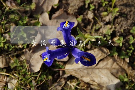 友信普惠逾期14天 友信普惠逾期14天