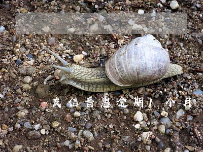 友信普惠逾期1个月