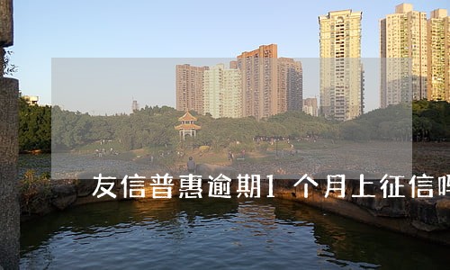 友信普惠逾期1个月上征信吗