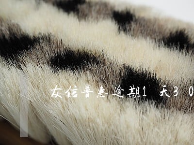 友信普惠逾期1天300多利息