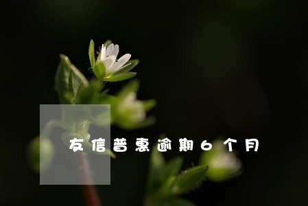 友信普惠逾期6个月 友信普惠逾期6个月