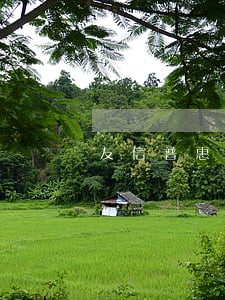 友信普惠逾期7天要结束分期 友信普惠逾期7天要结束分期