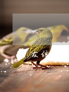 友信普惠逾期一天费用300 友信普惠逾期一天费用300