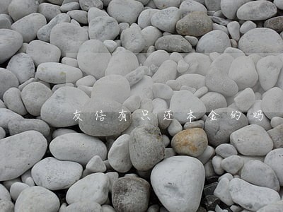 友信有只还本金的吗 友信有只还本金的吗