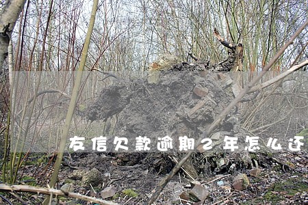 友信欠款逾期2年怎么还 友信欠款逾期2年怎么还